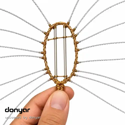 شناته اماراتی برای شاهین و بحری اصل